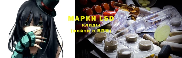 индика Богданович