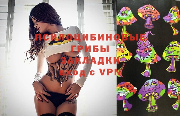 индика Богданович
