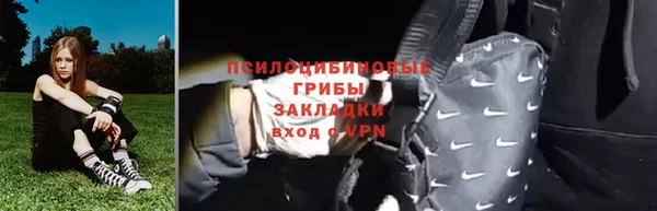 индика Богданович