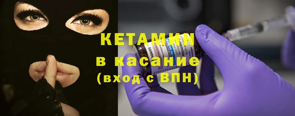 индика Богданович
