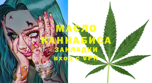 амф Бородино