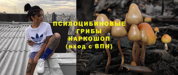 мяу мяу мука Богородицк
