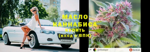индика Богданович