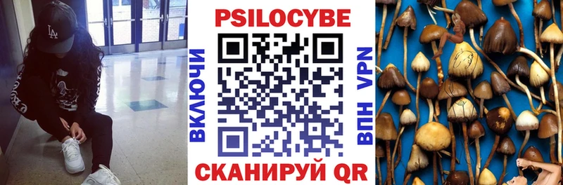 Галлюциногенные грибы Cubensis  наркотики  Тобольск 